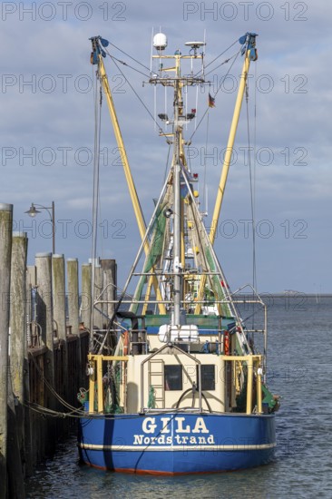 Fishing cutter, harbour, Strucklahnungshörn, Nordstrand, North Frisia, Schleswig-Holstein, Germany, Europe