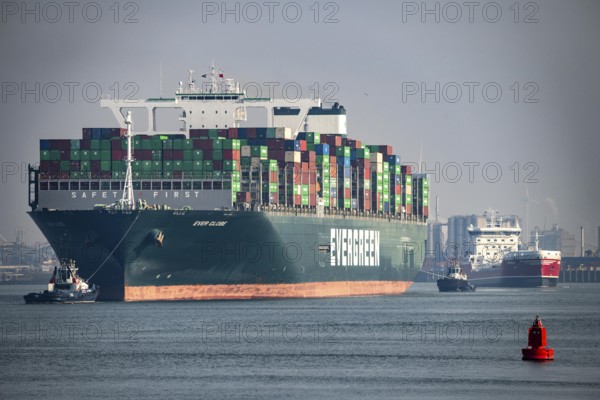 Harbour tugs bring the container freighter Ever Globe to its berth at Hutchison Ports ECT Euromax, at the Yangtzekanaal on Maasvlakte 2, Rotterdam, Netherlands