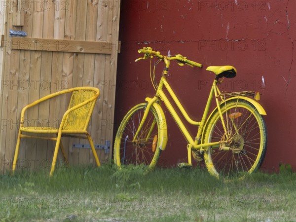 A bright yellow bicycle and matching chair placed outdoors by a wooden door and red wall, surrounded by grass, Yellow painted chair and bicycle, on a house building, in the town of Kiberg, Varanger Fjord, Finnish Lapland, Finland, Europe