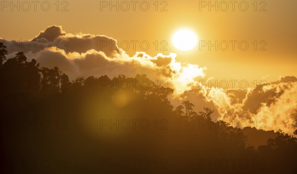 Evening mood, clouds over cloud forest, mountain rainforest, Parque Nacional Los Quetzales, Costa Rica, Central America