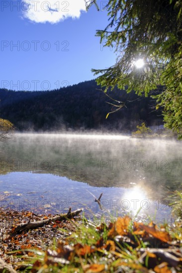 Morning fog over the water, Walchensee, Upper Bavaria, Bavaria, Germany, Europe