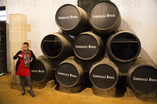 Female guide explaining fino sherry production wine cellar, Gonzalez Byass bodega, Jerez de la Frontera, Cadiz province, Spain, Europe