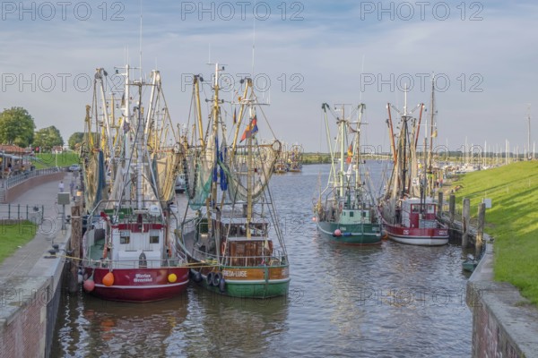 Crab cutter in the harbour of Greetsiel, the largest cutter fleet in East Frisia, Greetsiel, East Frisia, Lower Saxony, Germany, Europe