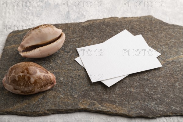 White paper business card, mockup with natural stone and seashell on gray concrete background. Blank, side view, still life, copy space