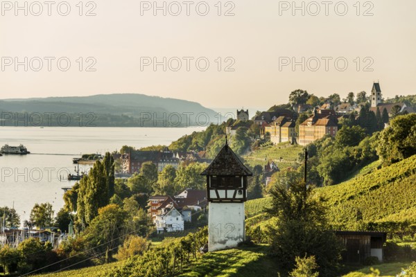 Lake Constance and vineyard, Meersburg, Lake Constance, Baden-Württemberg, Germany, Europe