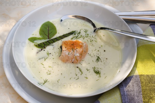 Southern German cuisine, sorrel soup with char, freshwater fish, soup arranged in a plate, herbs, fresh sorrel, blood sorrel, dill, toothpick, savoury, salty, traditional cuisine, food photography, studio, Germany, Europe