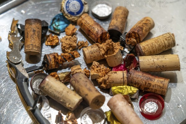 Wine cork, extracted from old, overaged wine bottles, partly crumbly, softened, rotten