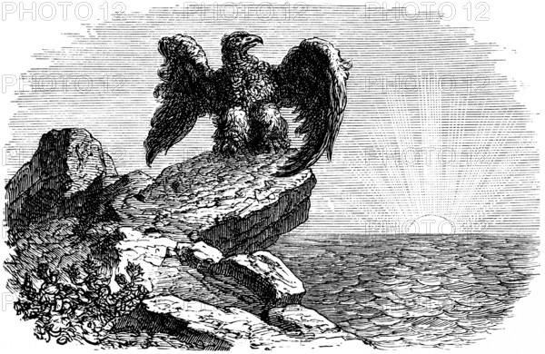 Symbol for the motto of the Hohenzollern, From the rock to the sea, eagle with spread wings, horizon, sea, sunset, Prussia, Brandenburg, historical illustration 1882