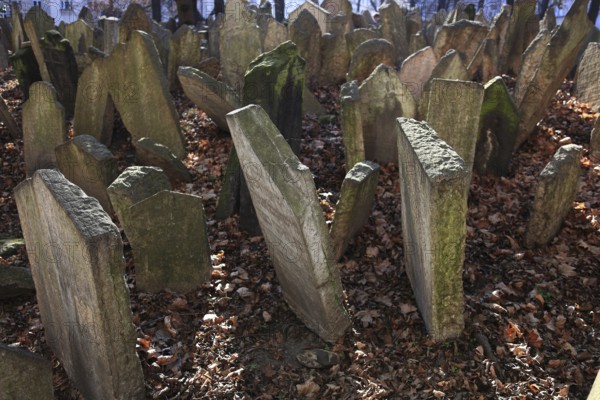 The Old Jewish Cemetery in the Josefov district is one of the most historically significant Jewish cemeteries in Europe. It contains over 12, 000 gravestones and presumably the remains of 100, 000 people, Prague, Czech Republic, Europe