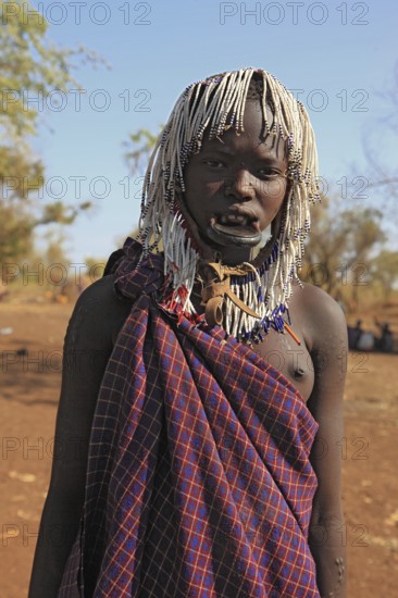 South Ethiopia, in Maco National Park, Mursi tribe, young Mursi woman, plate-lipped woman, woman with plate in her lower lip, lip jewellery, hair plaited into small tufts, Ethiopia, Africa