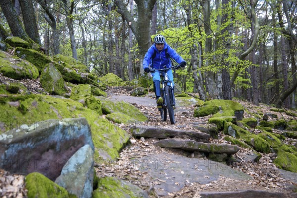 Mountain bikers on a bumpy trail on difficulty scale S 2 in the Palatinate Forest