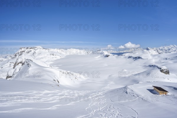 Downhill tracks in fresh snow, view from summit Wisshore to glacier Glacier de la Plaine Morte with summit Wildstrubel, Bernese Alps, Switzerland, Europe