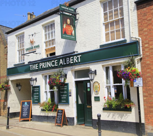 The Prince Albert pub, Ely, Cambridgeshire, England, UK