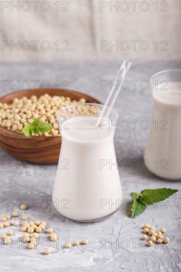 Organic non dairy soy milk in glass and wooden plate with soybeans on a gray concrete background. Vegan healthy food concept, close up, side view