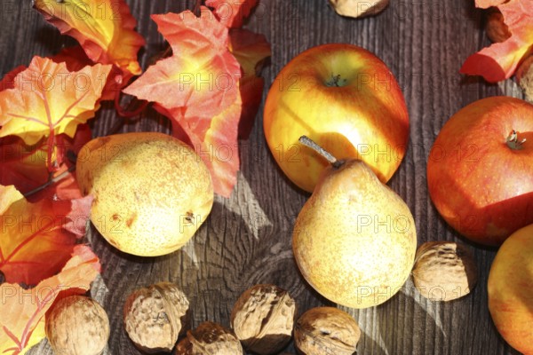 Apples, pears and walnuts on a rustic wooden table as an autumnal motif