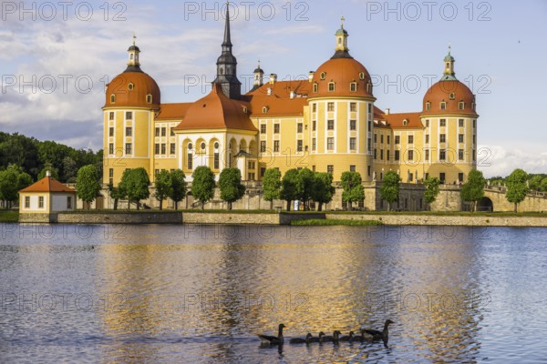 Moritzburg Castle, municipality of Moritzburg near Dresden, Saxony, Germany, Europe