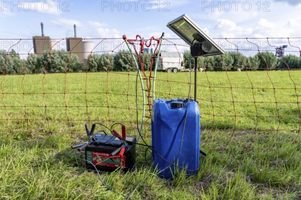 Electric pasture fence, designed to prevent molluscs, here sheep, from touching and climbing over the fence, they receive a slight electric stimulus, power supply via a car battery, solar charger, North Rhine-Westphalia, Germany, Europe