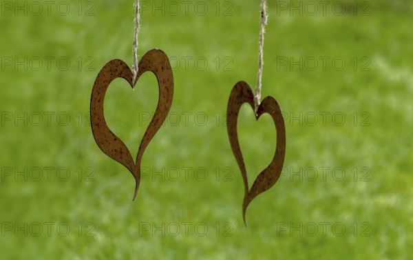 Two metal hearts as decoration hanging with strings in front of a green background, North Rhine-Westphalia, Germany, Europe