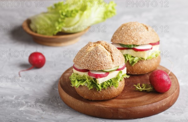 Sandwiches with cheese, radish, lettuce and cucumber on wooden board on a gray concrete background. side view, close up, selective focus