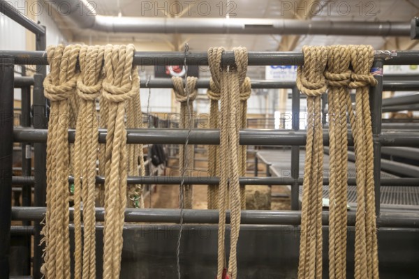 Oklahoma City, Oklahoma, The Great Plains Rodeo, an annual gay rodeo that features traditional rodeo competition while emphasizing the camaraderie of the LGBTQ community