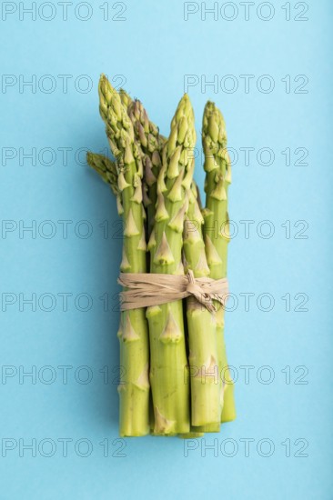 Bunch of fresh green asparagus on blue pastel background. Top view, flat lay, close up. harvest, healthy, vegan food, concept, minimalism