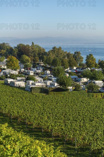 Campsite, caravan, blue sky, vineyards, Hagnau am Lake Constance, Baden-Württemberg, Germany, Europe