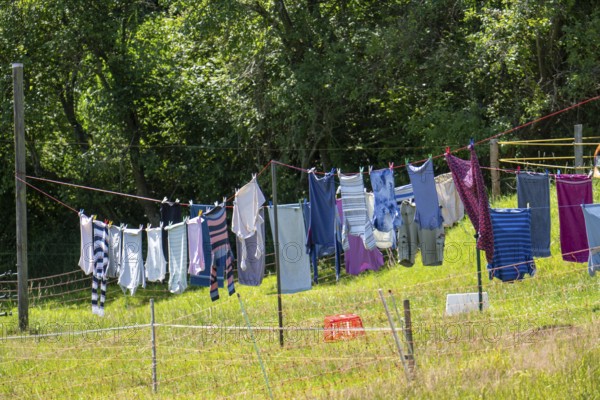 Laundry dries on the line in a garden, in summer