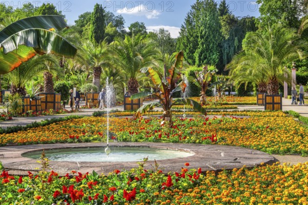 Palm garden in the spa gardens, the largest outdoor palm garden north of the Alps, spa town of Bad Pyrmont, Lower Saxony state spa, Emmer, Emmertal, Weserbergland, Lower Saxony, Germany, Europe