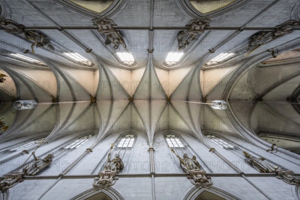 Ribbed vault in the nave of Salem Minster, Salem, Lake Constance, Lake Constance district, Baden-Württemberg, Germany, Europe