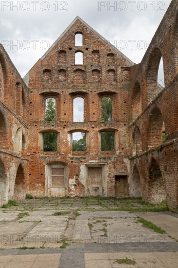 Monastery ruins, Bad Doberan, Mecklenburg-Western Pomerania, Germany, Europe