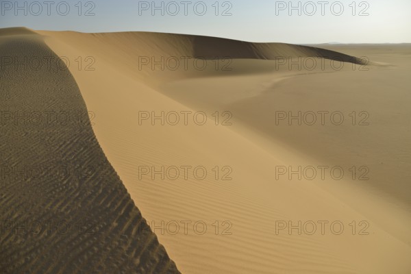 Dunes in the Nubian Desert in Dongola, Northern, Nubia, Sudan, Africa