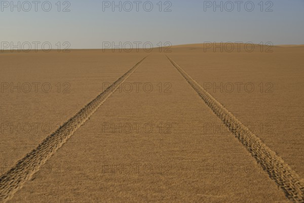 Car tracks in the sand in the Nubian Desert in Dongola, Northern, Nubia, Sudan, Africa