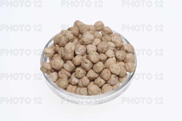 Chickpeas (Cicer arietinum), field pea, legume family