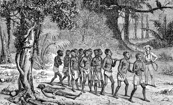 Slaves crossing a forest of the dead, slave hunters in the Congo in 1868, Historic, digitally restored reproduction of an original 19th century artwork, exact original date not known