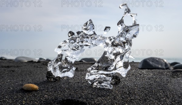 Ice, piece of ice on black sand beach, on black lava beach Diamond Beach, Southeast Iceland, Iceland, Europe