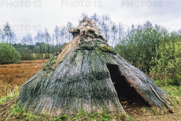 Reconstruction of a Stone Age hut made of reeds at a wetland, Sweden, Europe