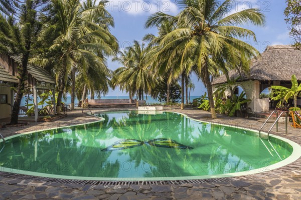 Swimming pool in tropical resort with palm trees and sea on horizon