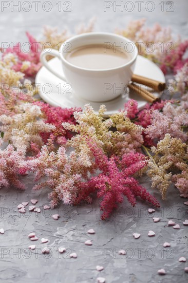 Pink and red astilbe flowers and a cup of coffee on a gray concrete background. Morninig, spring, fashion composition. side view, close up, selective focus