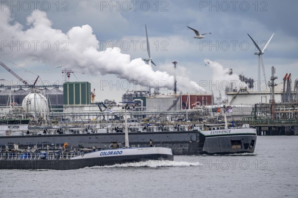 Inland tankers, refineries, in the petroleum harbour, seaport of Rotterdam, Maasvlakte, Rotterdam Netherlands