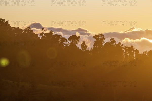 Evening mood, clouds over cloud forest, mountain rainforest, Parque Nacional Los Quetzales, Costa Rica, Central America