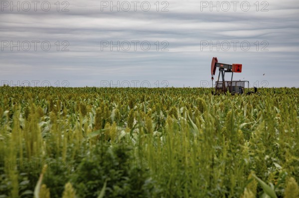 Hugoton, Kansas, An oil well in a farmer's field in southwest Kansas