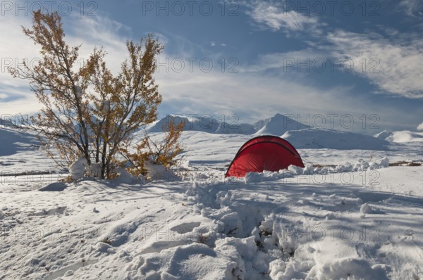 Tent in mountain landscape, Sarek National Park, Laponia World Heritage Site, Norrbotten, Lapland, Sweden, snowy landscape, winter, Scandinavia, Europe