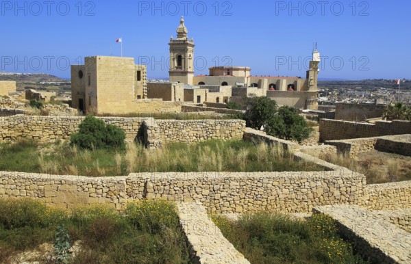 Cathedral church tower and ruins inside citadel castle walls Il-Kastell, Victoria Rabat, Gozo, Malta, Europe