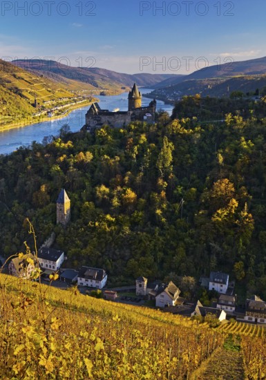 View of Bacharach with Stahleck Castle, hilltop castle above the Rhine, Upper Middle Rhine Valley in autumn, Rhineland-Palatinate, Germany, Europe