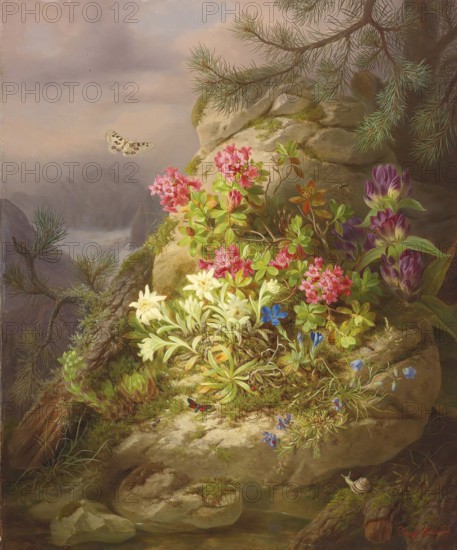 Alpine flowers on a rocky mountain landscape with snail and flowers and flying butterfly, painting by Josef Lauer (1818, 1881), Austrian still life painter who was active in the Biedermeier period, among others