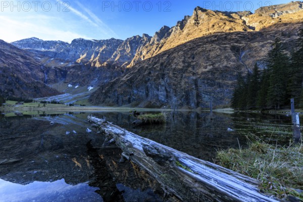 A fallen tree trunk floats in a clear mountain lake, Felbertal, Mittersill, Salzburg, Austria, Europe