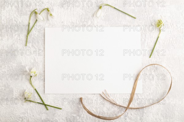 White paper sheet mockup with spring snowdrop galanthus flowers on gray concrete background. Blank, business card, top view, flat lay, copy space, still life. spring concept