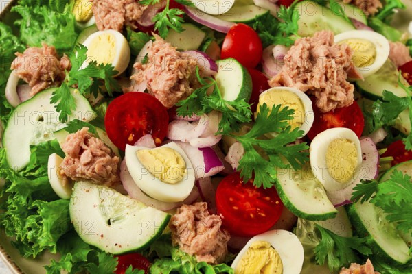 Tuna salad, vegetable salad with quail eggs, lettuce, red onion and cucumbers, on a light gray table, keto food, lifestyle, healthy eating, selective focus, top view, no people