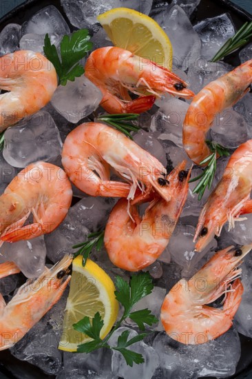 King shrimps, undivided, boiled-frozen, on ice, top view, selective focus, no people