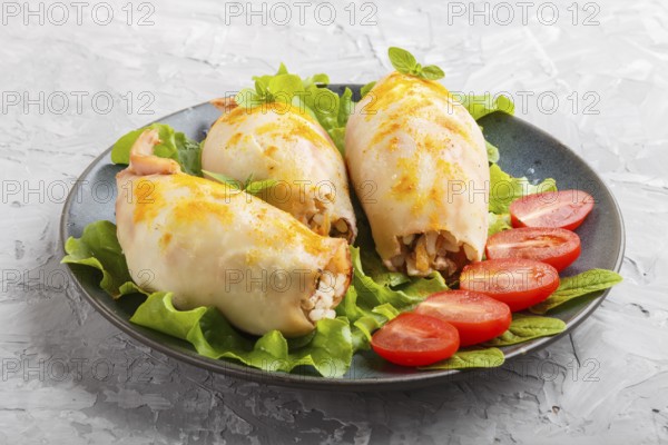 Stuffed baked squid with greens on a blue ceramic plate on a gray concrete background, side view, close up